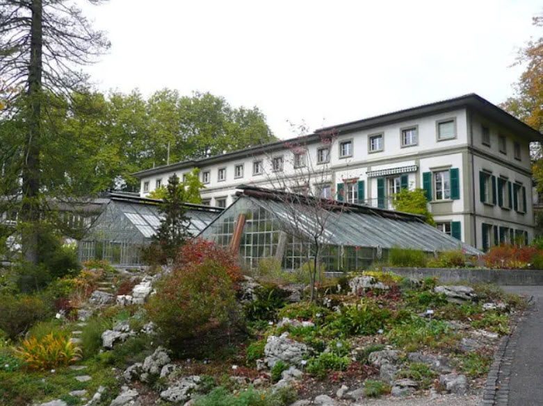 Botanical Garden of University of Bern, Bern, Switzerland, Switzerland